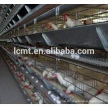 Bandeja automática das aves domésticas do alimentador de galinha para o sistema de alimentação automático da galinha